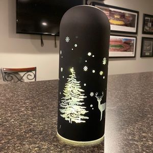 Glass dome large fairy light up candle